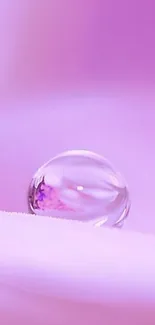 Pink water droplet on petal wallpaper.