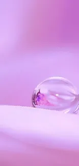 Close-up of water droplet on a pink surface, creating a serene mobile wallpaper.