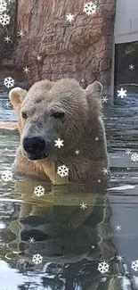 Polar bear standing in water with rocky background.