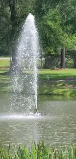 Serene fountain in a lush green park setting wallpaper.