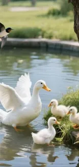 Serene pond with a duck family and bird in flight.