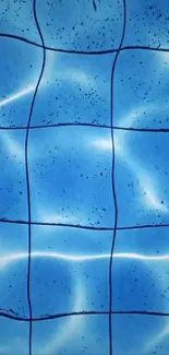 Serene pool water reflection with a grid pattern.