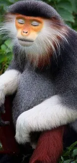 Serene primate sitting in lush green foliage.