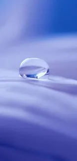 Purple wallpaper with a water droplet on petals.