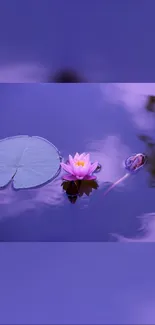 Purple water with a pink lotus and lily pad.