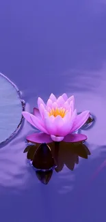 Purple pond with a pink lotus in the center, offering a serene and calming view.