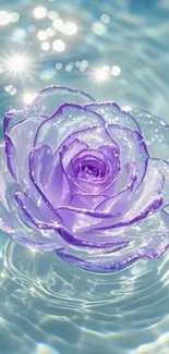Purple rose floating in sparkling water with light blue reflections.