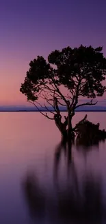 Lone tree against purple sunset sky over water, capturing serene nature.