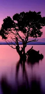 Purple sunset with tree silhouette reflected on calm water.