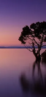 Serene purple sunset with silhouetted tree reflected in calm waters.