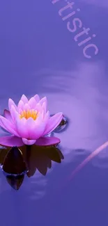 Purple water lily on calm water, creating tranquility.