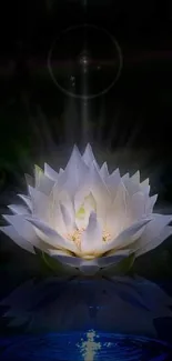 Radiant white lotus glowing on dark water background.