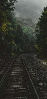 Misty forest railway path with lush greenery on both sides.