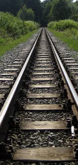 Serene railway track surrounded by greenery wallpaper.