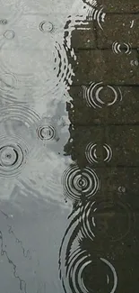 Water ripples on a rainy day reflecting pavement.