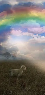 Sheep under a rainbow in a serene field with bright clouds.