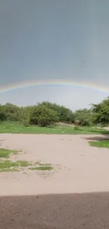 Beautiful landscape with rainbow and lush greenery beneath a clear sky.