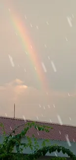 Rainbow arcs over a calm rooftop at sunset.