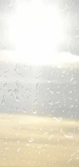 Sunlight filters through raindrops on a window, with a soft yellow sky in the background.