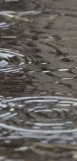 Close-up of raindrops creating ripples on a calm water surface.