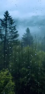 Mist-covered rainforest seen through rainy window.