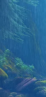 Rainy forest with lush greenery and calming ambiance.