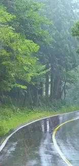 Green forest path in the rain, perfect for serene mobile wallpaper.