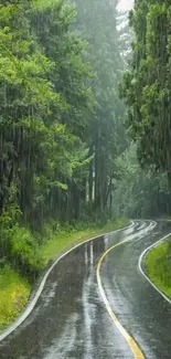 Rainy forest road with lush greenery as a scenic mobile wallpaper.