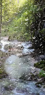 A serene green forest stream with raindrops on a window.