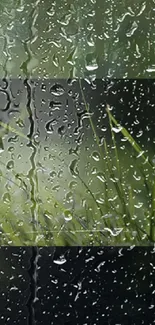 Raindrops on fresh green grass, calming mobile wallpaper.