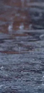 Serene rainy road with reflections on pavement.