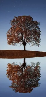 Tranquil night scene with tree and reflection on water under starry sky.