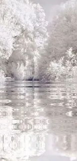 Tranquil winter landscape with icy reflections and snow-covered trees.