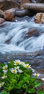 Tranquil landscape with river and white flowers