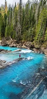 Turquoise river flowing through lush forest.