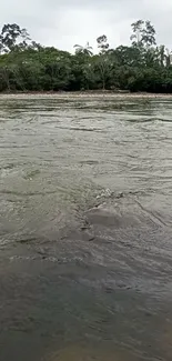 Serene river flowing by lush green forest.