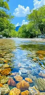 Serene river with stones and greenery in nature.
