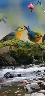 Colorful birds by a river with foliage and rocks.