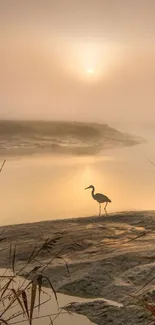 Serene dawn view with river and bird in mist.