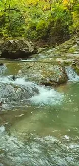 A serene river flows through a lush, green forest.