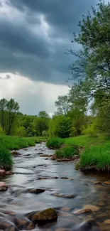 A tranquil river flowing through a lush green forest under a cloudy sky.