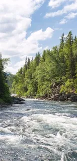 Serene river with lush green forest landscape.