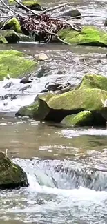 Moss-covered rocks by a flowing river in a tranquil natural setting.