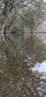 Calm river with tree reflections in serene nature setting.