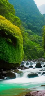 Peaceful river flowing through a lush green valley.