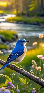 Bluebird perched by a scenic river with flowers in bloom.