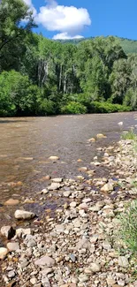 Peaceful riverbank with greenery and blue sky.