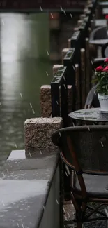 A serene riverside café view on a rainy day with empty chairs and vibrant flowers.