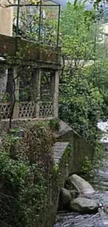 Serene riverside with lush greenery and flowing water.