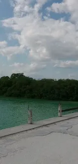 Serene riverside scene with lush greenery and a calming sky.